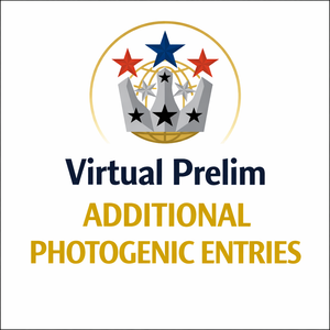 Virtual Prelim Additional Photogenics